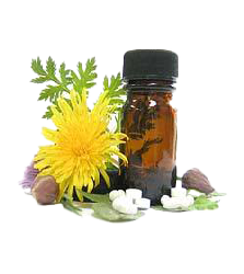 herbal-food-supplements.png